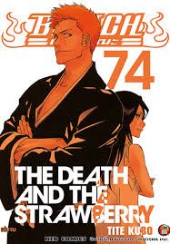 bleach Vol.74